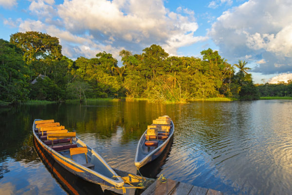 Amazon & Andes