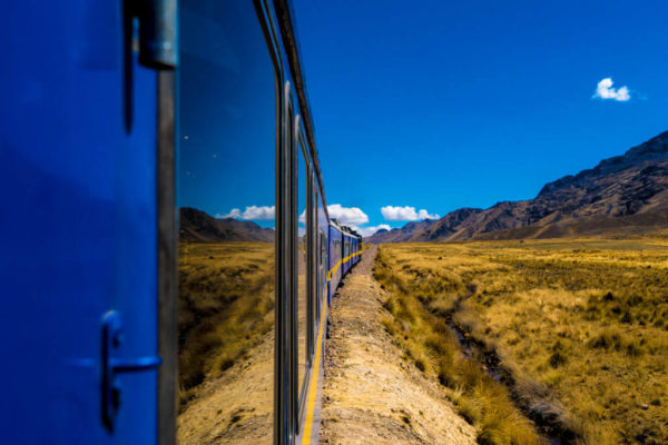 Altiplano to the Andes with Lares Valley