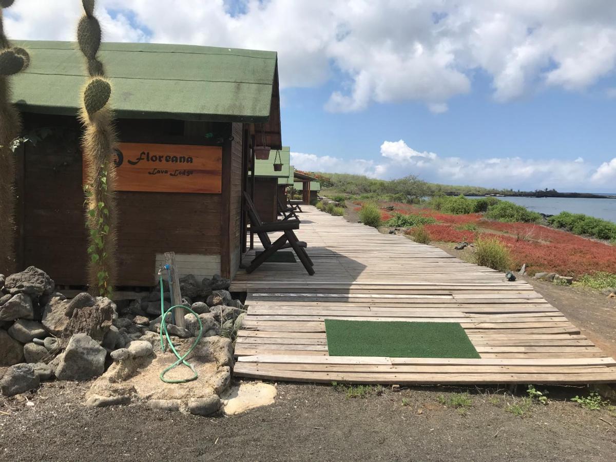 Lava Lodge | Adventures to Peru Adventures to Peru | 246472774