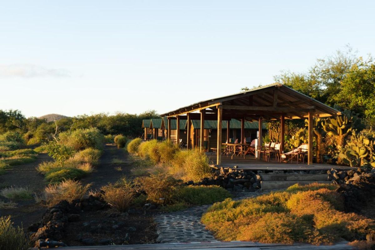 Lava Lodge | Adventures to Peru Adventures to Peru | 246472821 e1728056393545 1200x798 1