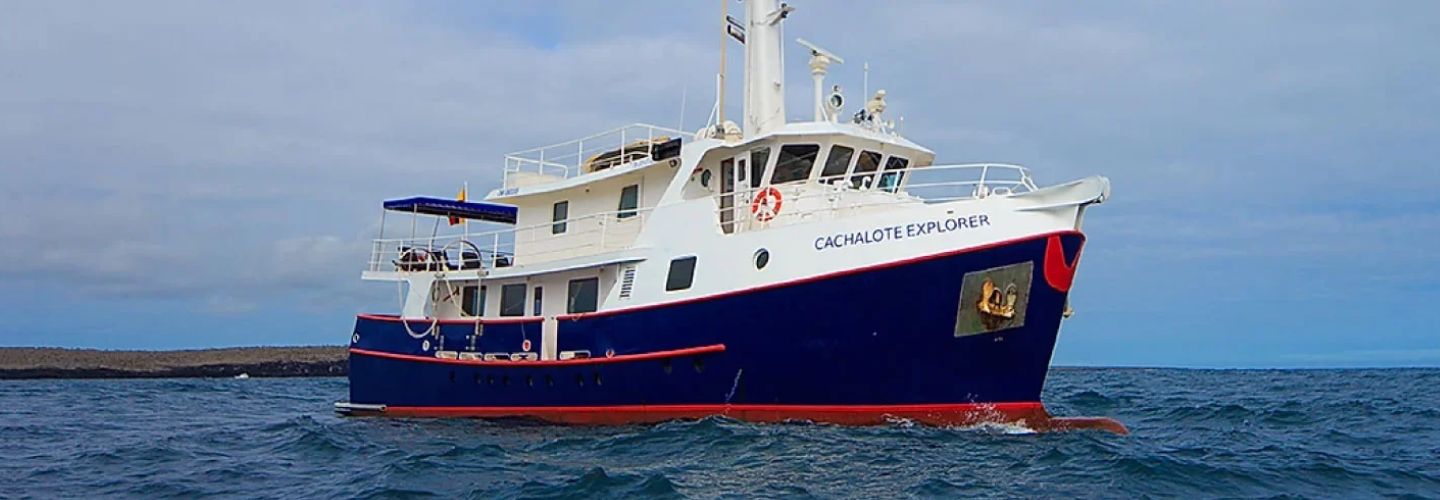 Adventures to Peru | cachalote slider