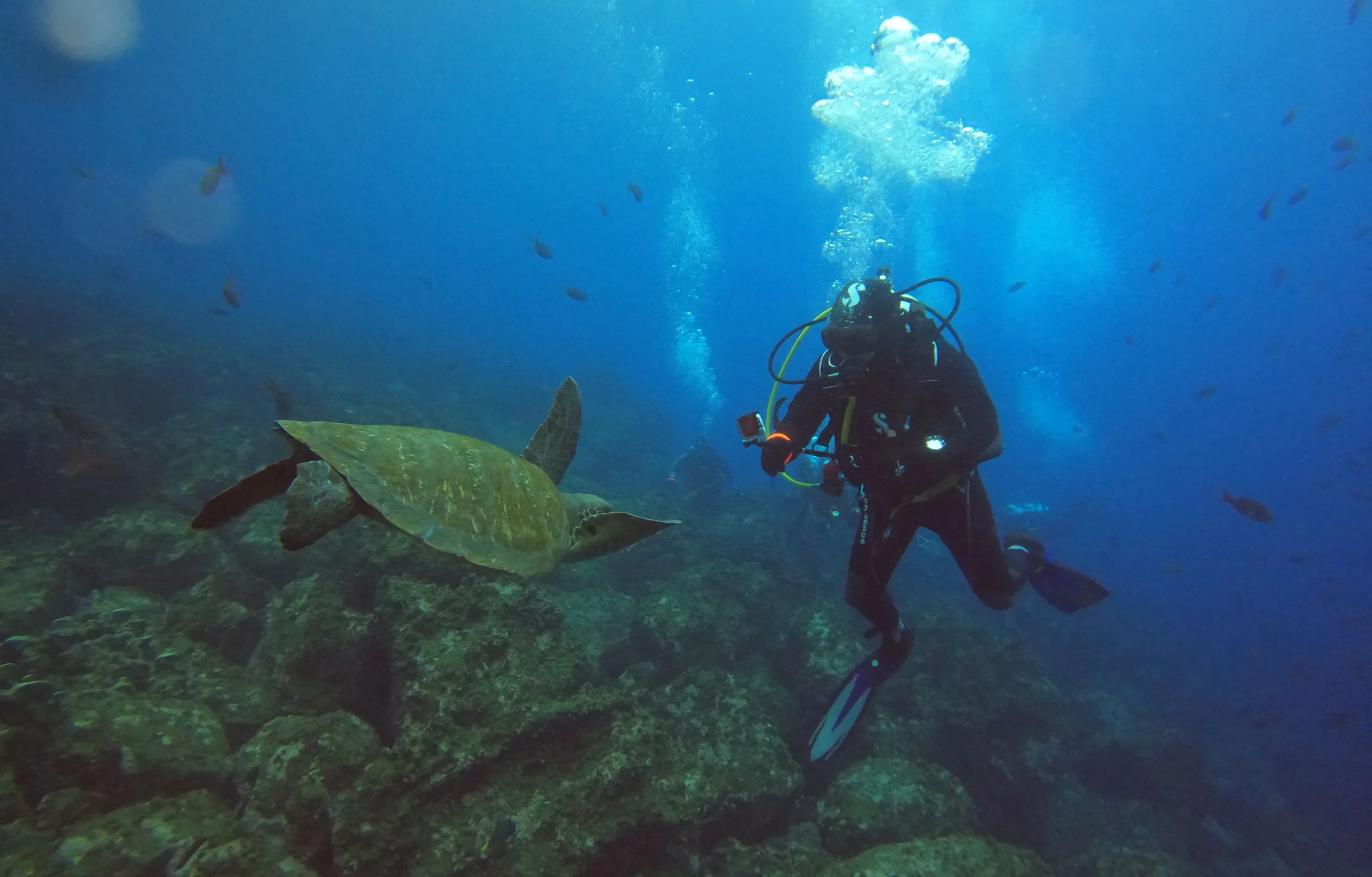 Galaxy Diver II | Adventures to Peru Adventures to Peru | diving2 galaxy diver 2 scaled 1