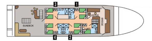 Adventures to Peru | dolphin deck galapagos sky