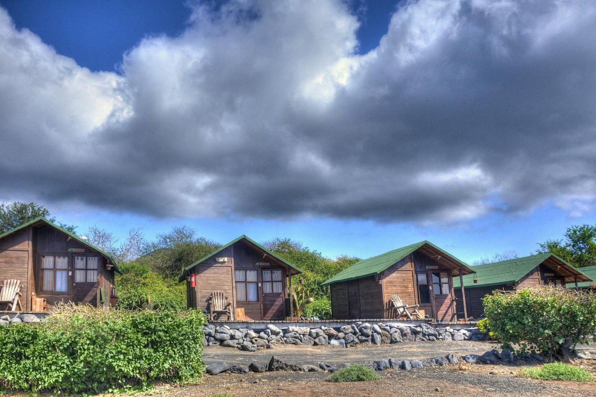 Lava Lodge | Adventures to Peru Adventures to Peru | red mangrove floreana e1728056374134 1200x799 1